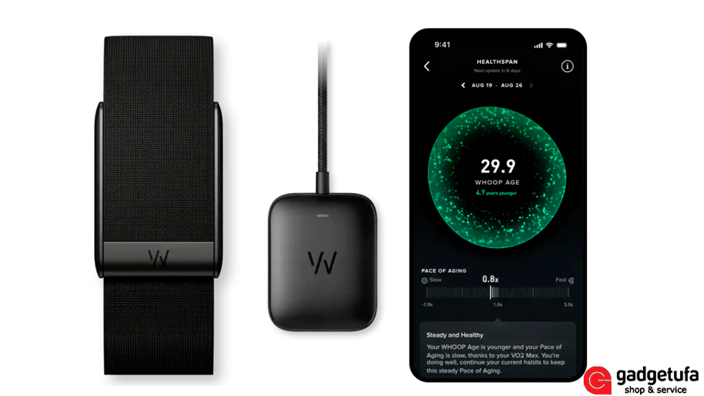 Whoop MG Life 1, Whoop 5.0 MG Life, купить Whoop в Уфе, фитнес-браслет с ЭКГ, трекер восстановления, Whoop Life подписка