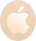 Gold Apple iPad Pro 12.9