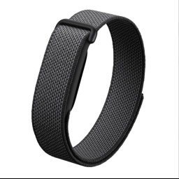 Фитнес браслет Fitbit Air Obsidian фото купить уфа