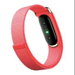 Фитнес браслет Fitbit Air Berry фото купить уфа