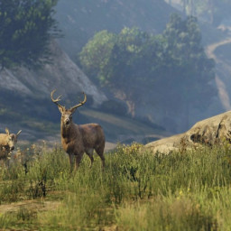 Игра Grand Theft Auto 5 Premium Edition для PS4 фото купить уфа