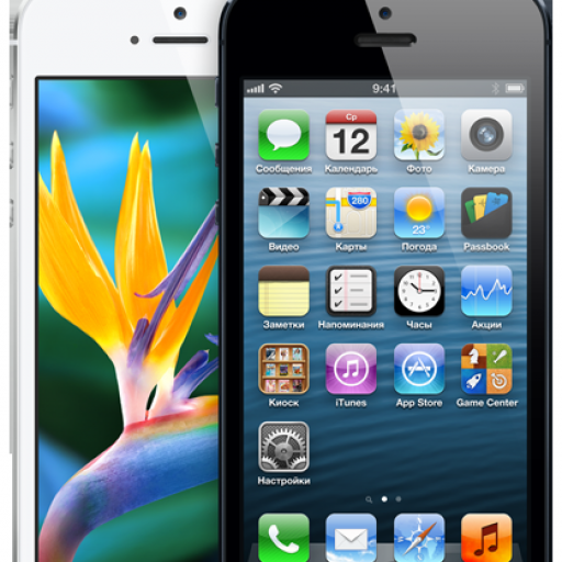 Новое поступление! Apple iPhone 5 ref. черные и белые.