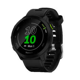 Garmin Forerunner 55 42mm Black купить в Уфе