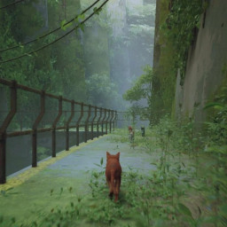 Игра Stray для PS4 фото купить уфа