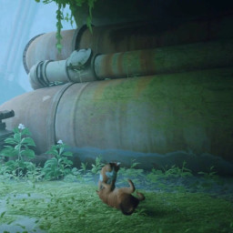 Игра Stray для PS4 фото купить уфа