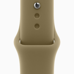 Apple Watch (Applе, Series 12, 46mm, тёмно-бронзовый, Sport Band оливковый цвет M/L) фото купить уфа