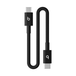 Кабель Beats USB‑C to USB‑C Woven Short Cable 20 cm Bolt Black MEQ94 купить в Уфе