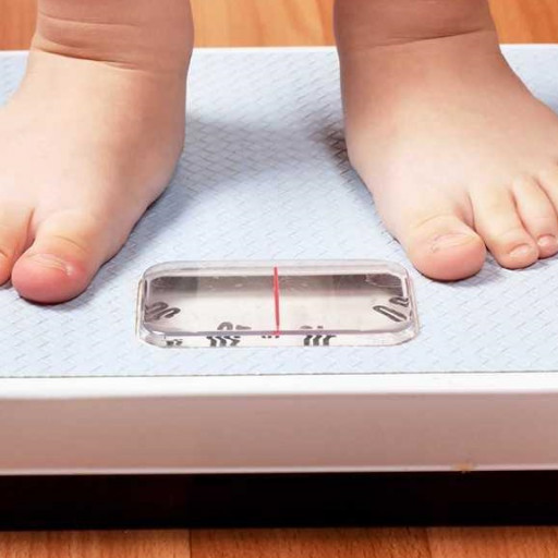 Следите за своим весом и какие весы лучше?
